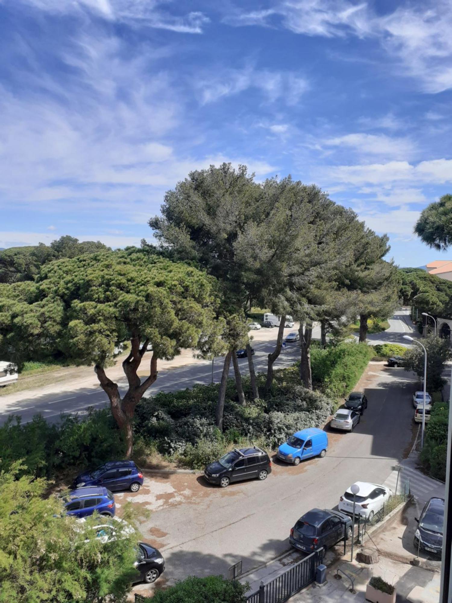 Studio Hyeres Port Et Iles D'Or. المظهر الخارجي الصورة