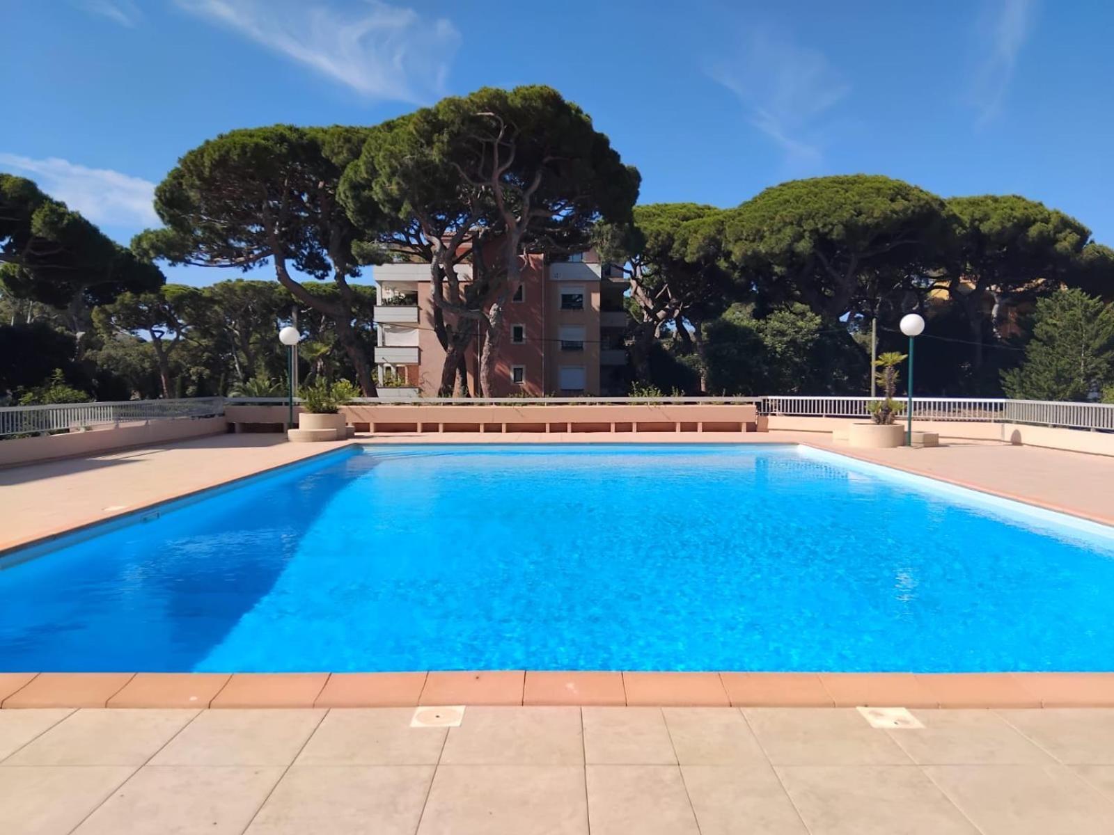Studio Hyeres Port Et Iles D'Or. المظهر الخارجي الصورة