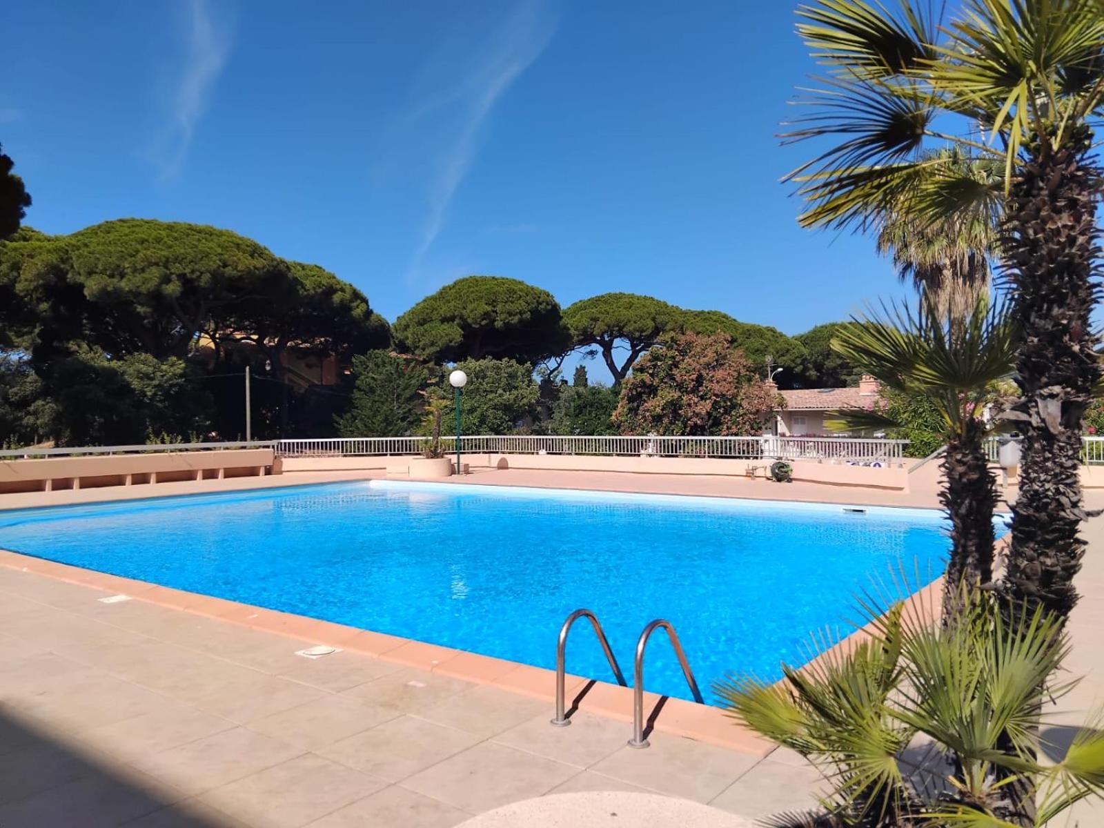 Studio Hyeres Port Et Iles D'Or. المظهر الخارجي الصورة